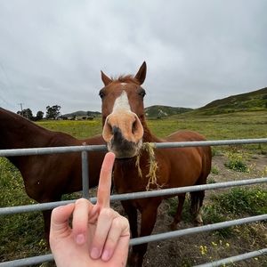 Meet your Posher, Jack